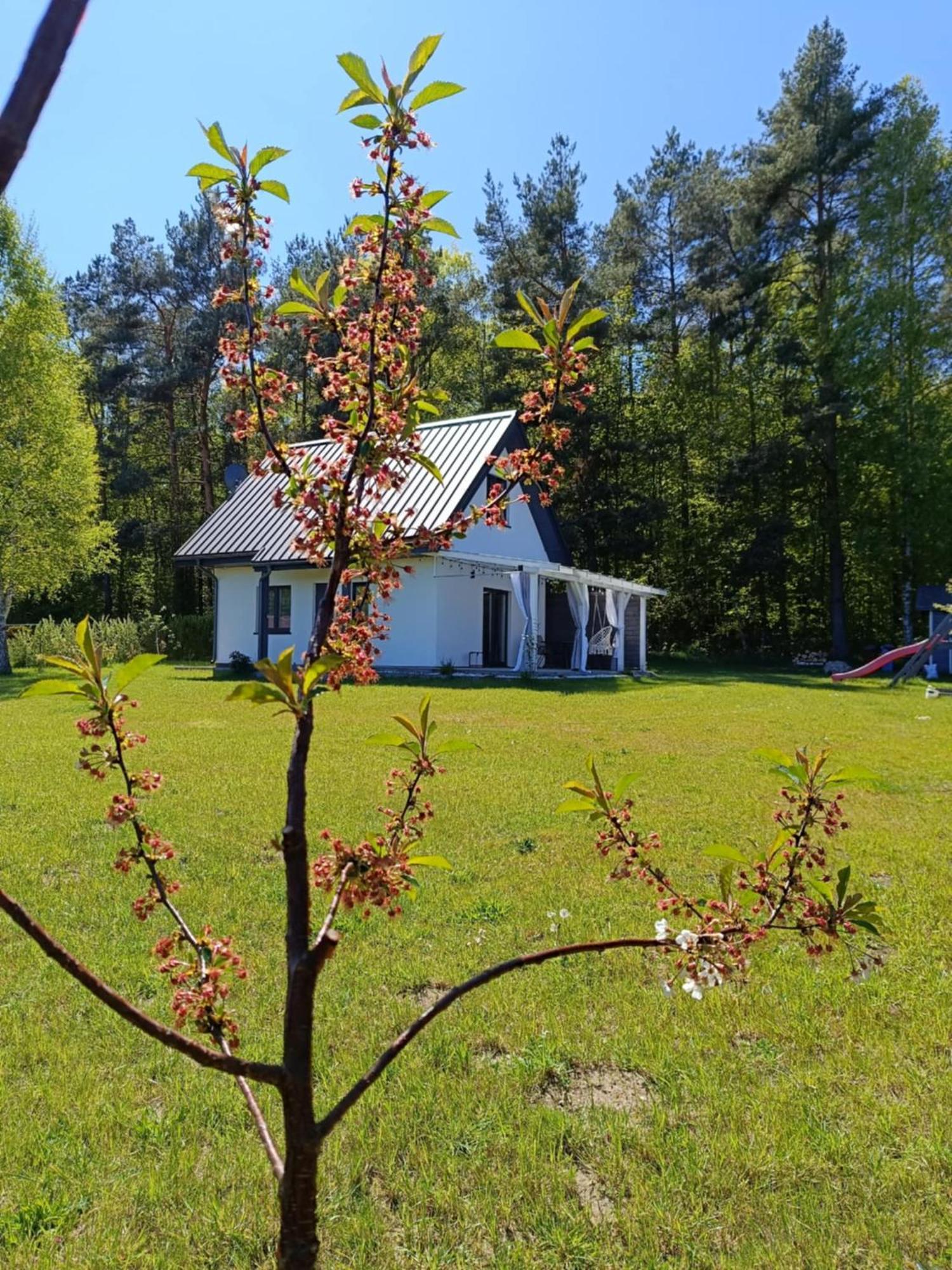Villa Jeszcze Bardziej Dziki Sad Slajszewo Esterno foto